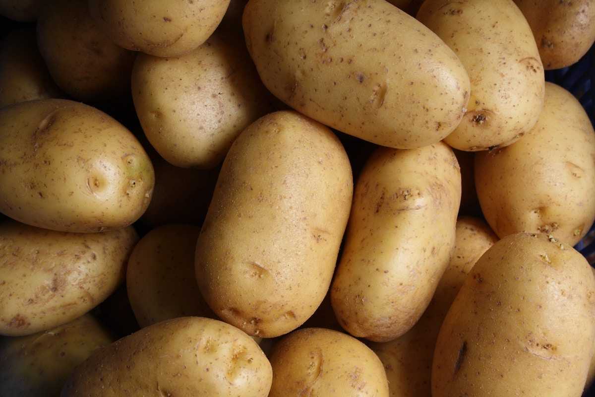 potato image